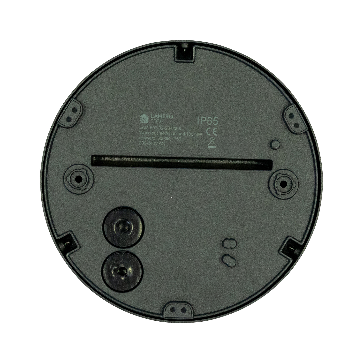 Alcor rund LED Wandaufbauleuchte schwarz Ansicht von hinten