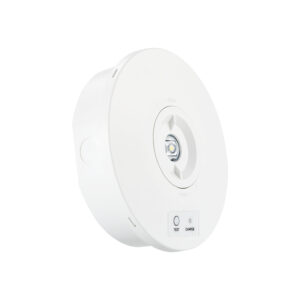 Notleuchte AP Downlight RA 3h selbsttest